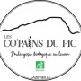 copaindupiclogo copaindupiclogo